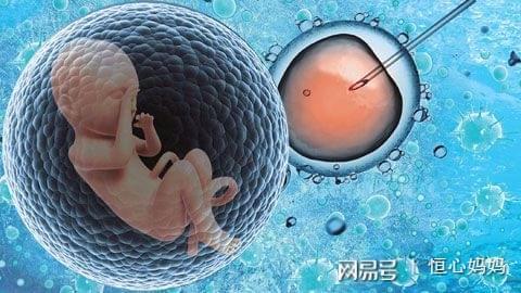 关于捐卵联系方式